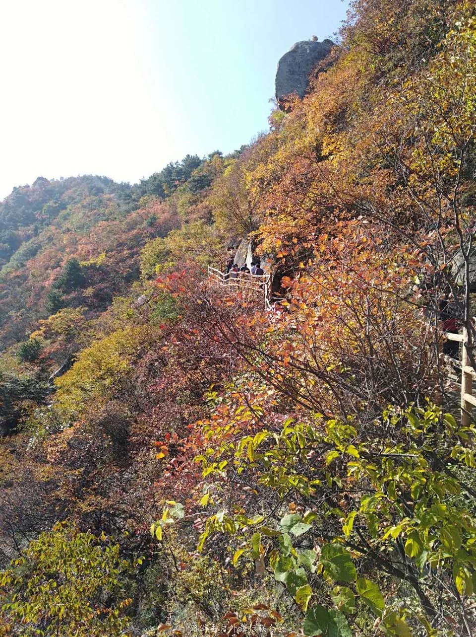 8DJYGfqxPvnUxv_VibLEPHsC63psBkxKkI-NnP2Wtf3jnZzkT8Zw3ClX23JfKzIR