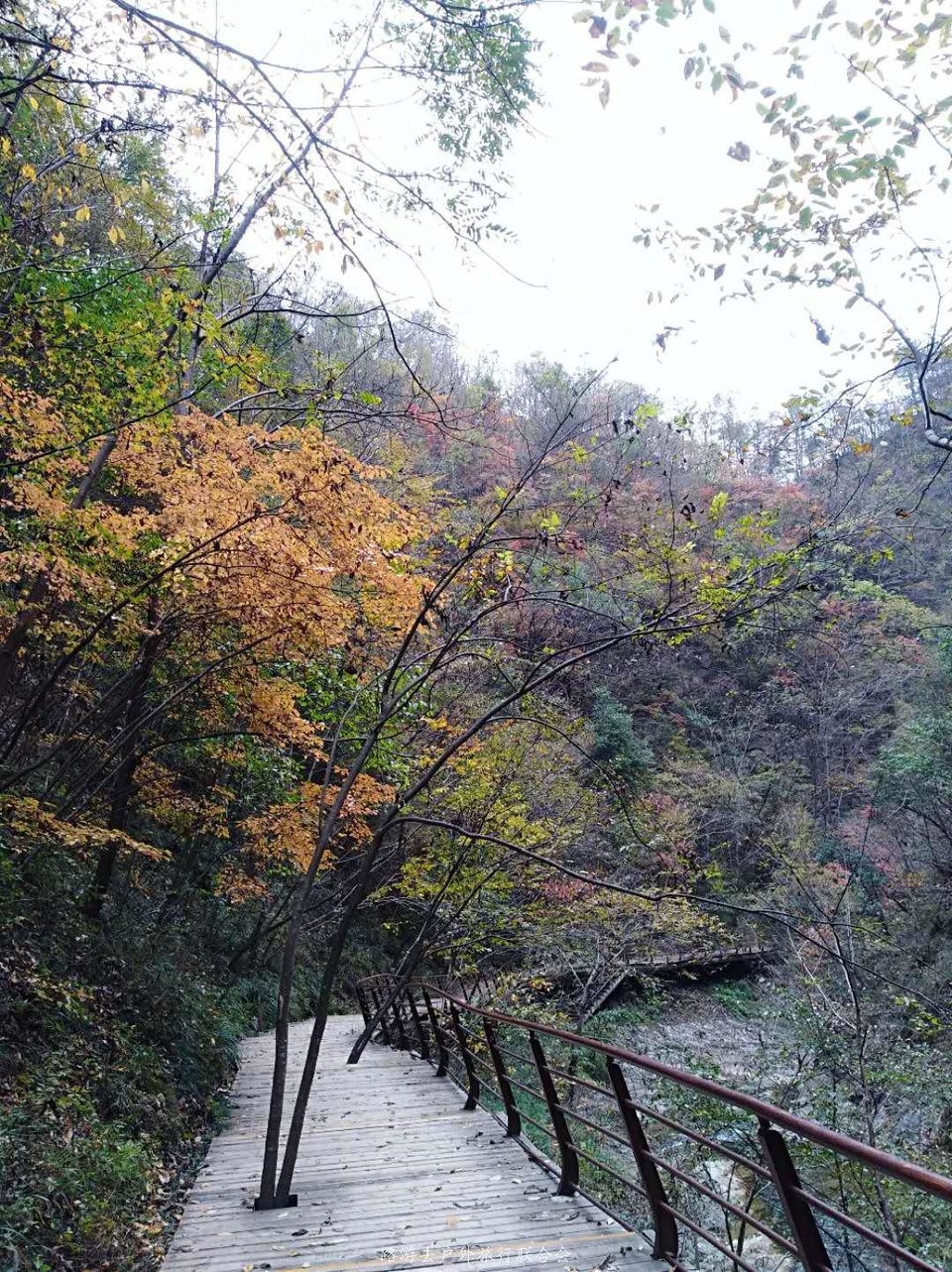 girH0z_FLLvG-JdKhw5S6kCV2GCB7NL72S-o21PY3oNJ8E7ZbMraKar7j-OmoWcR