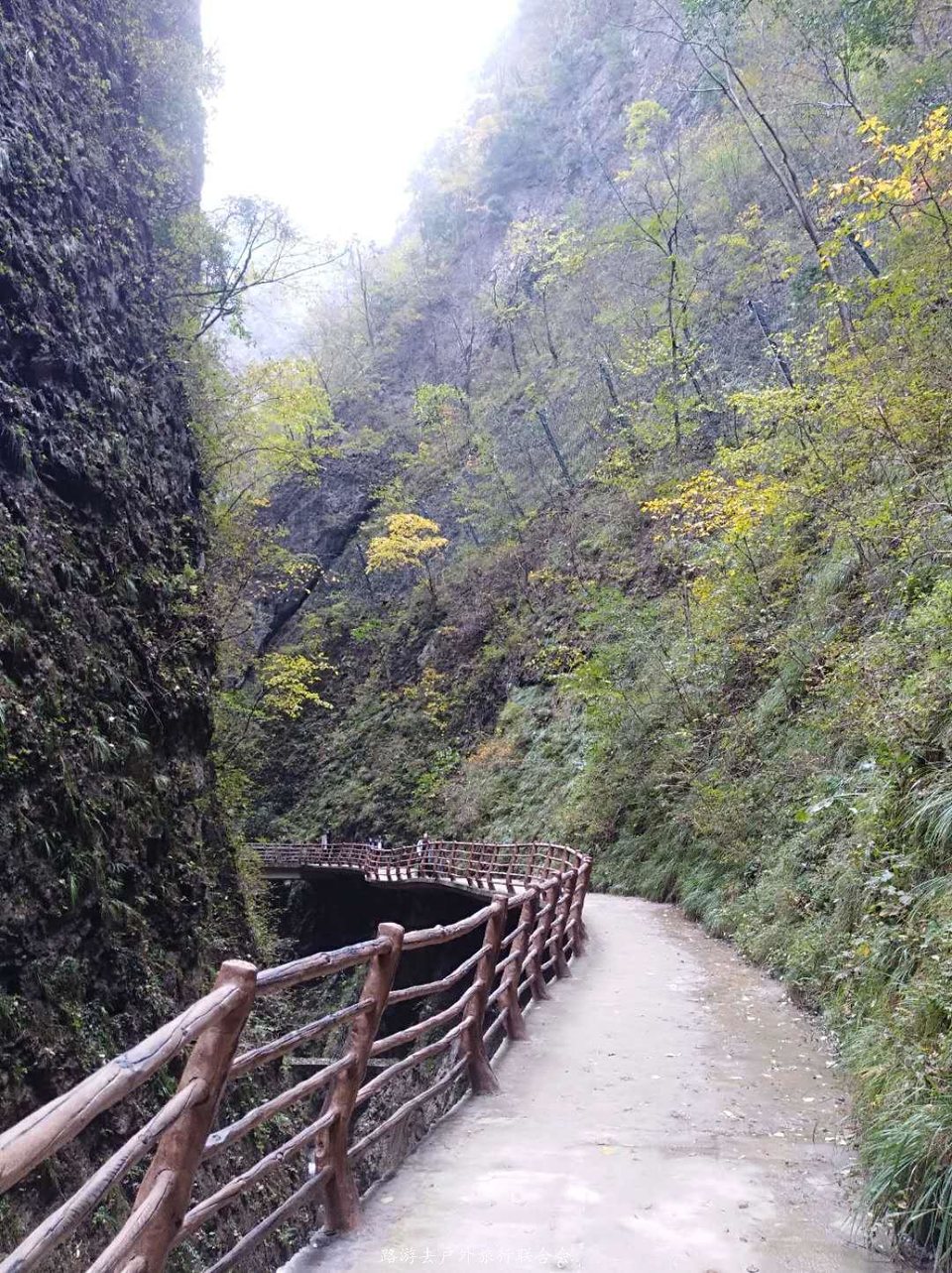 BgQgzfL-afKRQQ4ZglOqf9xB1CGtwovI8LJLZaLi6aHo7WMMSP4i0iOQ76Gn8Tuy