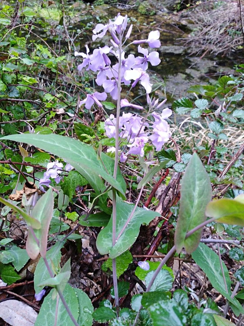 9QCR-4iUnEMDLV7w2OKfClsVoCx1rV1YSsFUEjwmQwf7T88KR28ZksCPuoR_1q7Z