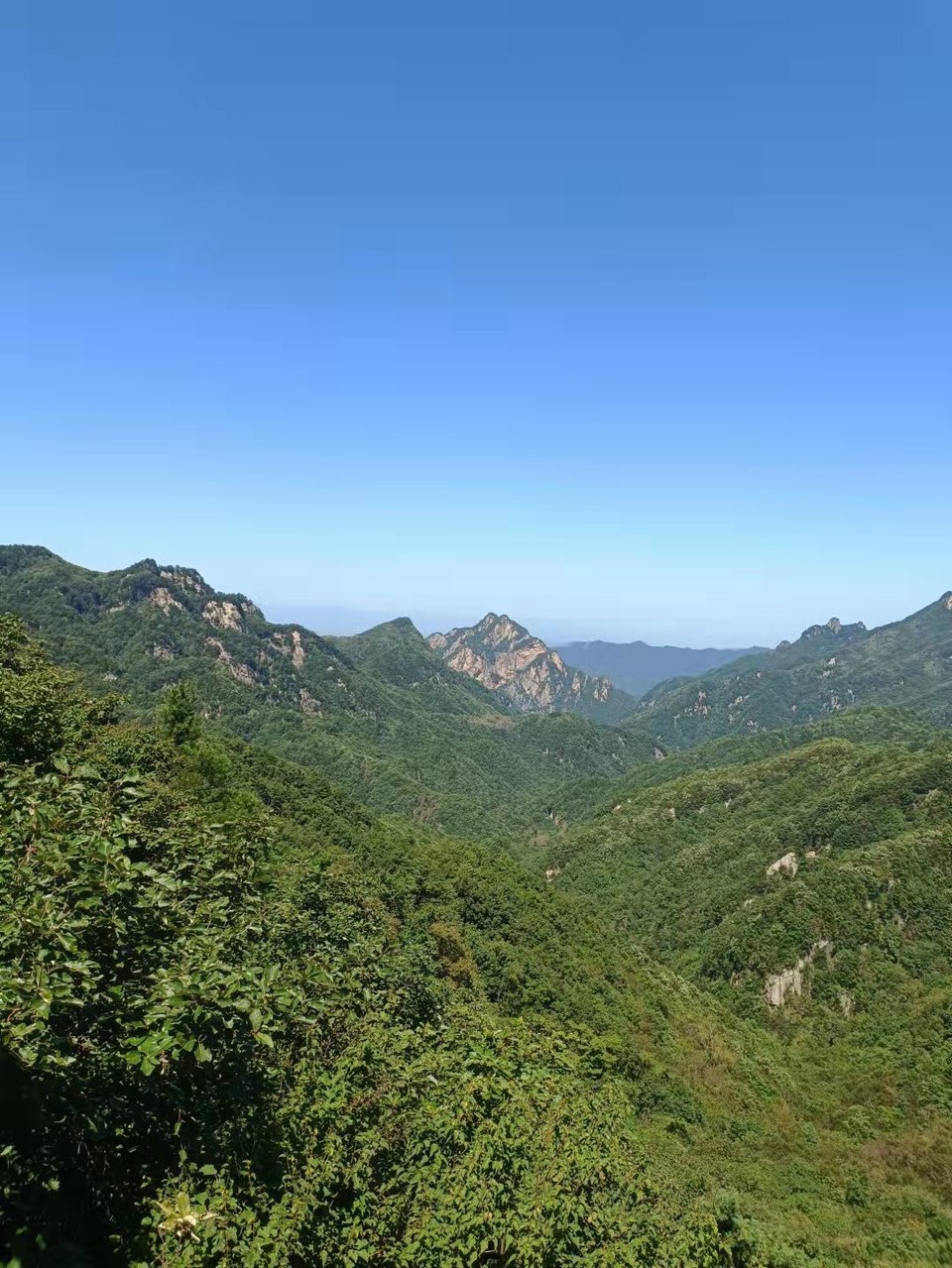 E63BSTKh16CUqz0sBUTTuMiiVaxWFfflRHyaRgmzOsWBhpoggYmdNfrAWGUqmmMg