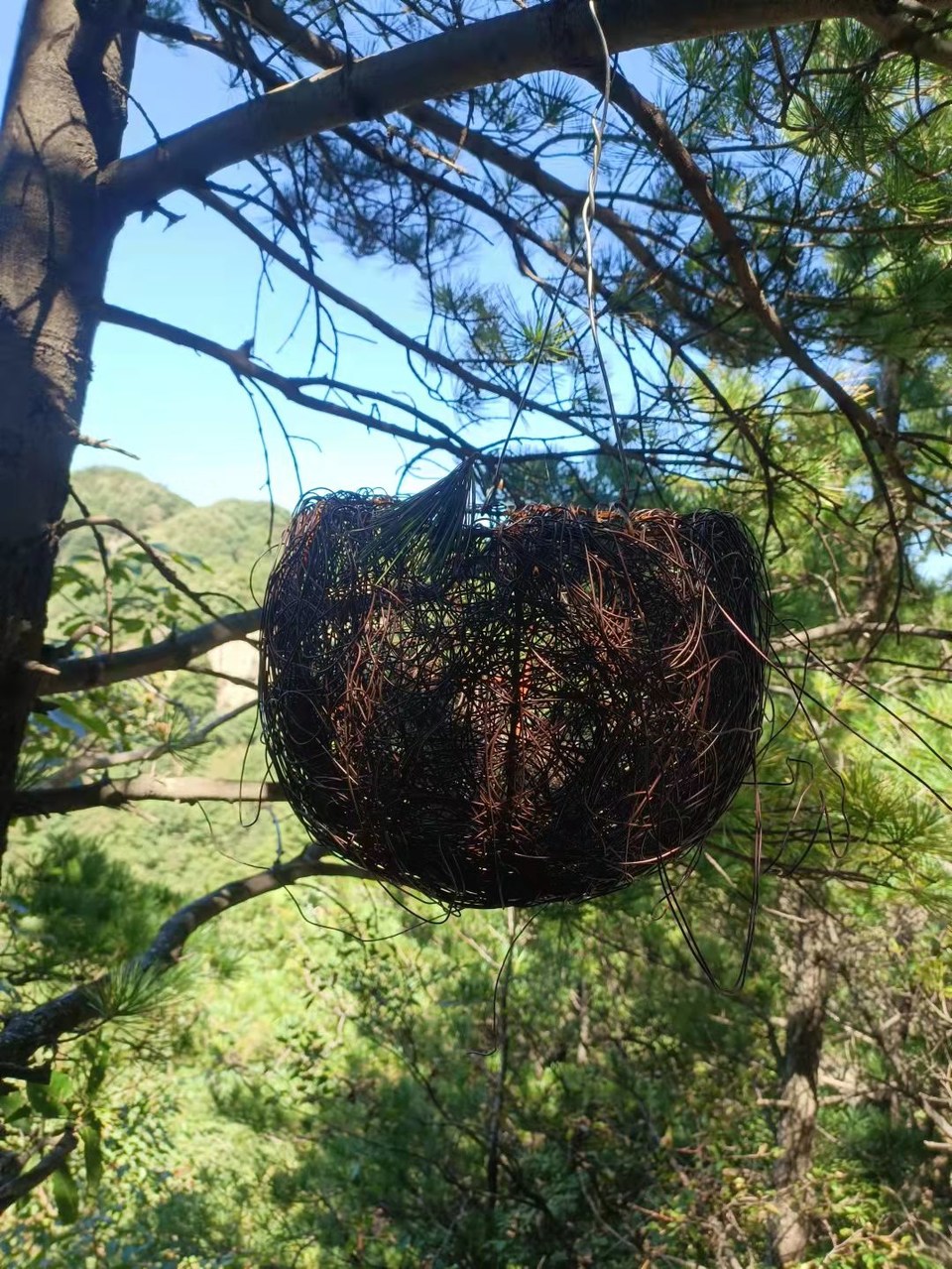 E63BSTKh16CUqz0sBUTTuPyR8OkyoYwRnPV9y6_PLsD4iCXtoTgWBnr8xVSLQaCT