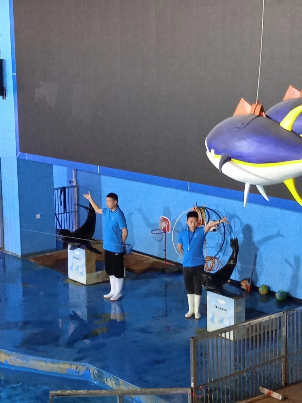 f1k9raUybkfiQI4iRk4bsRilu5WombFh40_1V13WZmgyOCOxvbEhlCHs2cCnDKgs