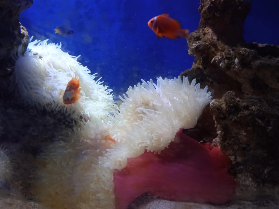 f1k9raUybkfiQI4iRk4bsRHQ2bU0DXZe-O-tJJhkGnaGcig7n14s78SBciqCoktH