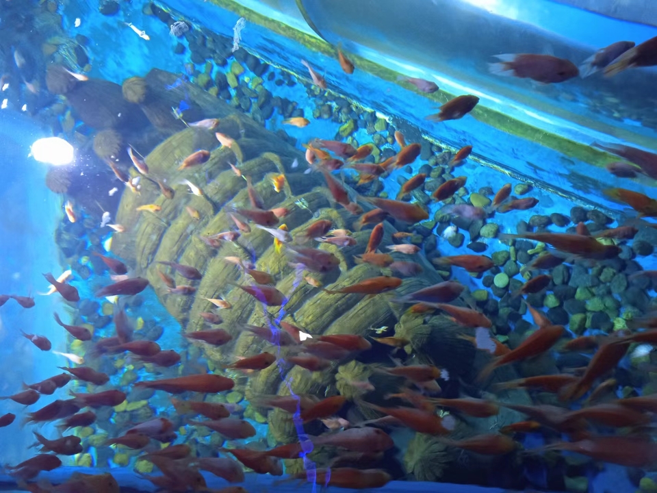 f1k9raUybkfiQI4iRk4bseRvlgLzsESjmkfIuOkOWp-qz2NH6ztD8IDofRA6IZ8s