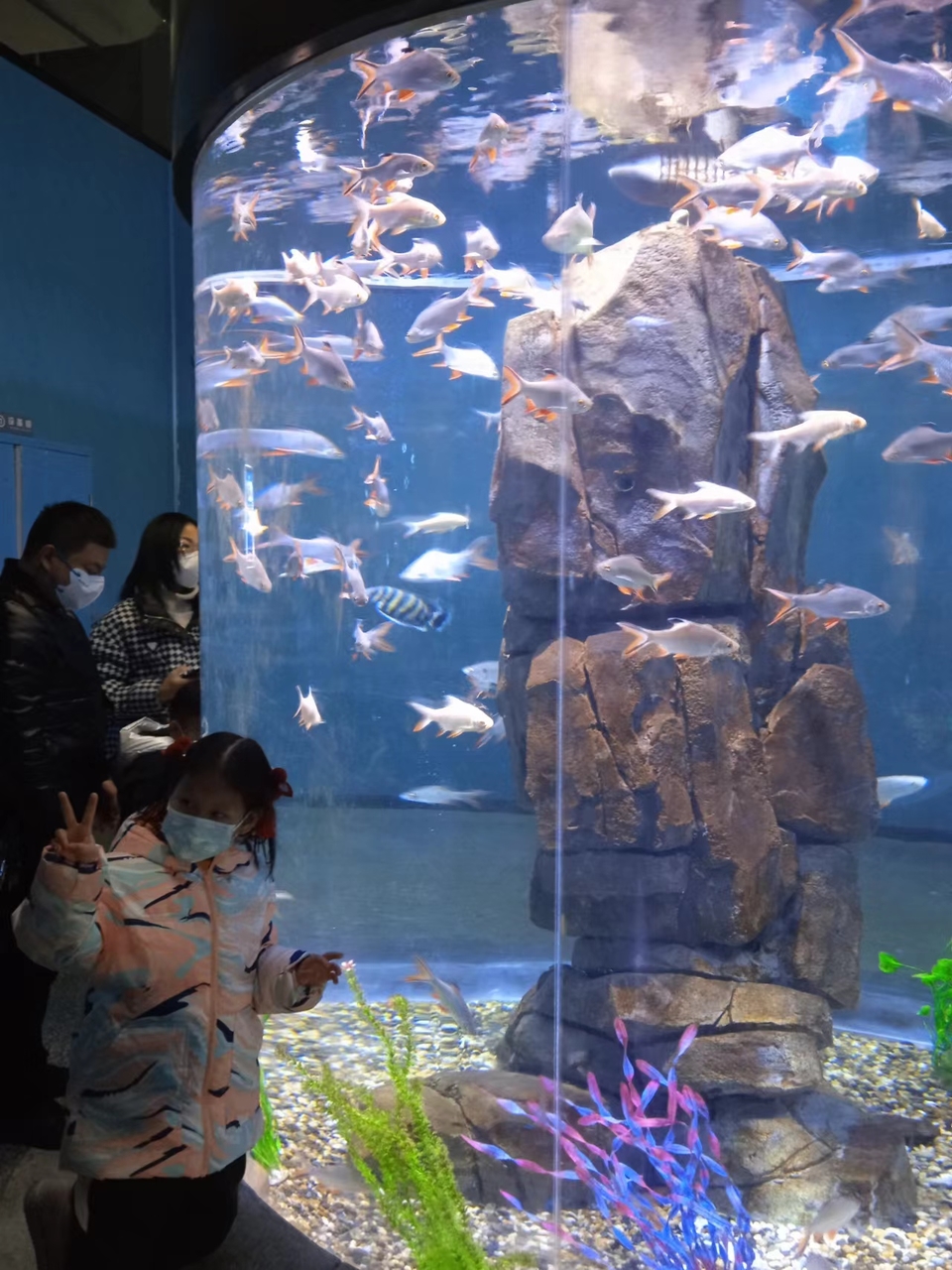 f1k9raUybkfiQI4iRk4bsU0lMkfsoWYpGCl83CanrBjuMWnsA5SjvmCEeSvQp4q9