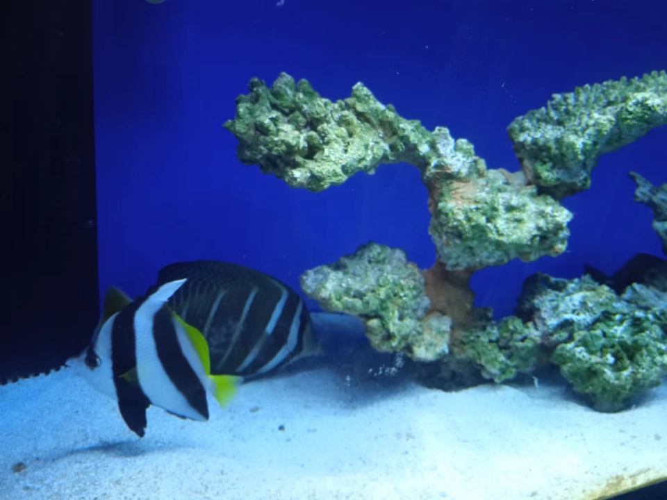 f1k9raUybkfiQI4iRk4bsWEXmLDoObYczXXVid5j42T8EuTM0XVMLQ5mtfQ-tVIF