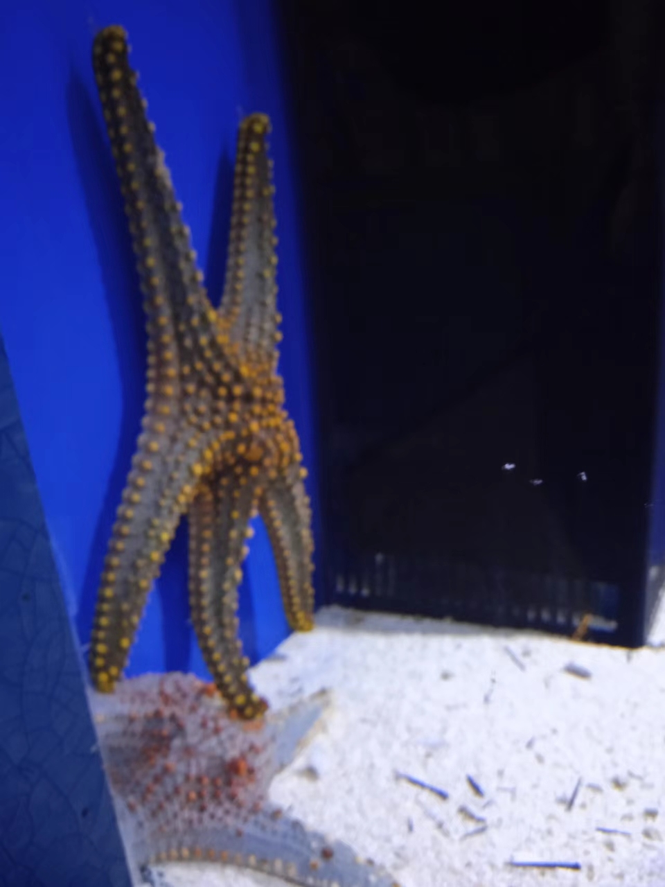 f1k9raUybkfiQI4iRk4bsSnrp_i8o7qMn35QpLGKIMp1eKLOFWs-t3H7dyWi1Z4o