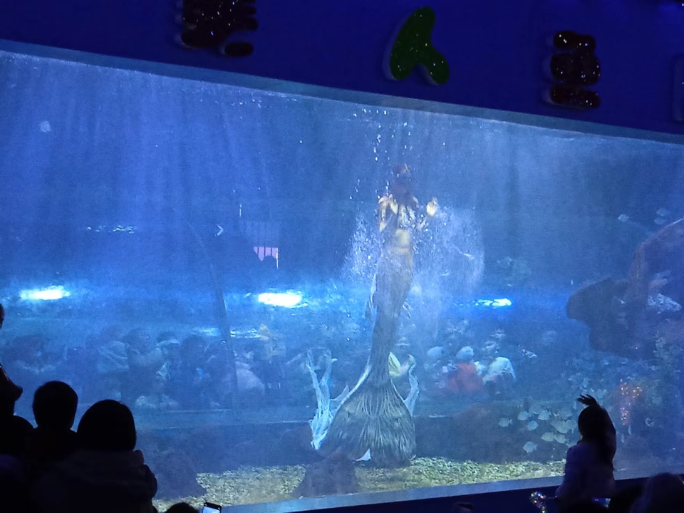 f1k9raUybkfiQI4iRk4bsc9mK_HV1MwxubxzLpFUadYrhVGHQ0m3H6TIzf0Rilpl