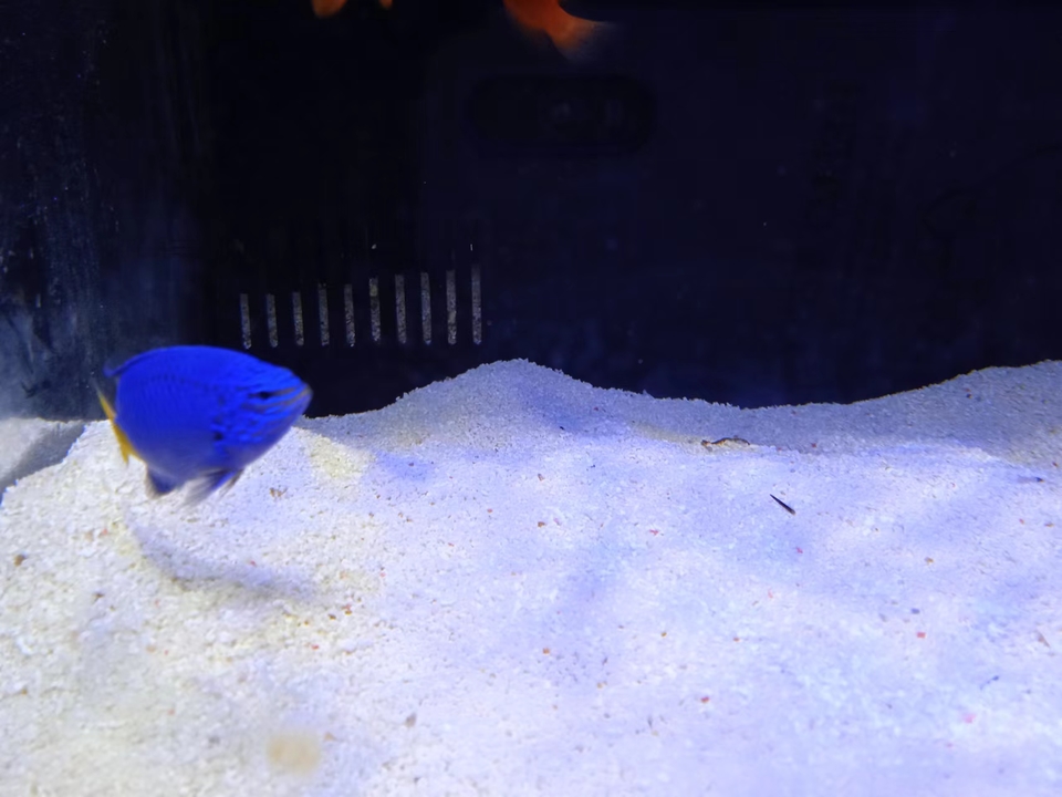 f1k9raUybkfiQI4iRk4bsTX9gxTMSMTNBjyPkBMx-fwd48k8MwbAFL7Ne4J_PGW4