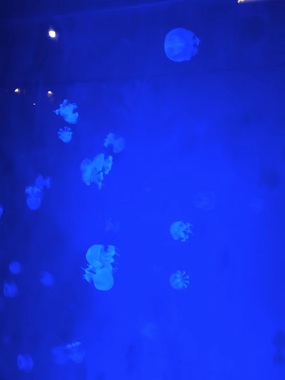 f1k9raUybkfiQI4iRk4bsfgkWnFP4EIE7JbtaqlrW-Z_zw5jXD0iebV0TKqbgRQ8