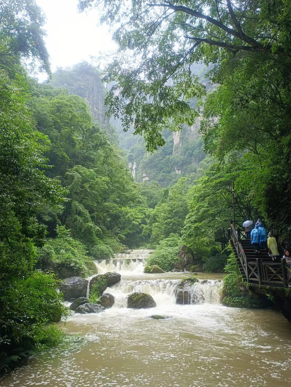 NwxY9FJNe5u0sUvKQaD-4ugLQ6MCeYl8sBVD9UFGeKxRCc8mQhsydelu6w4d2O_9