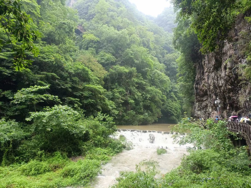 NwxY9FJNe5u0sUvKQaD-4gtxei877VjnfVdou8s2lO_RSZx3TlhYHnY4oDZfXqOI