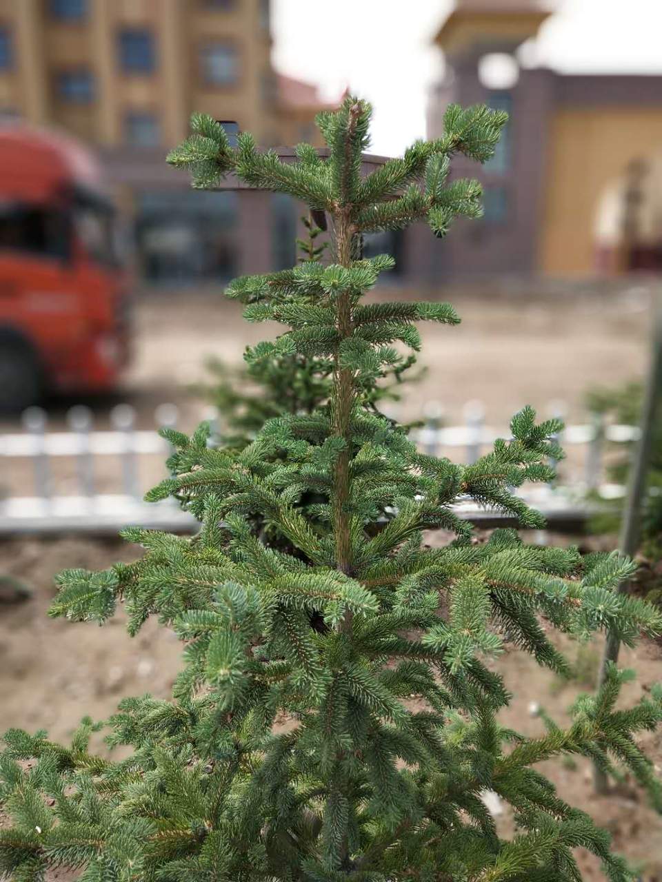 krYEcxGV2zq-wLU7NGhkLg4Lo6bdrzlI6HXWpltik7LeOTM3EncPig5Zs8K5xjV7