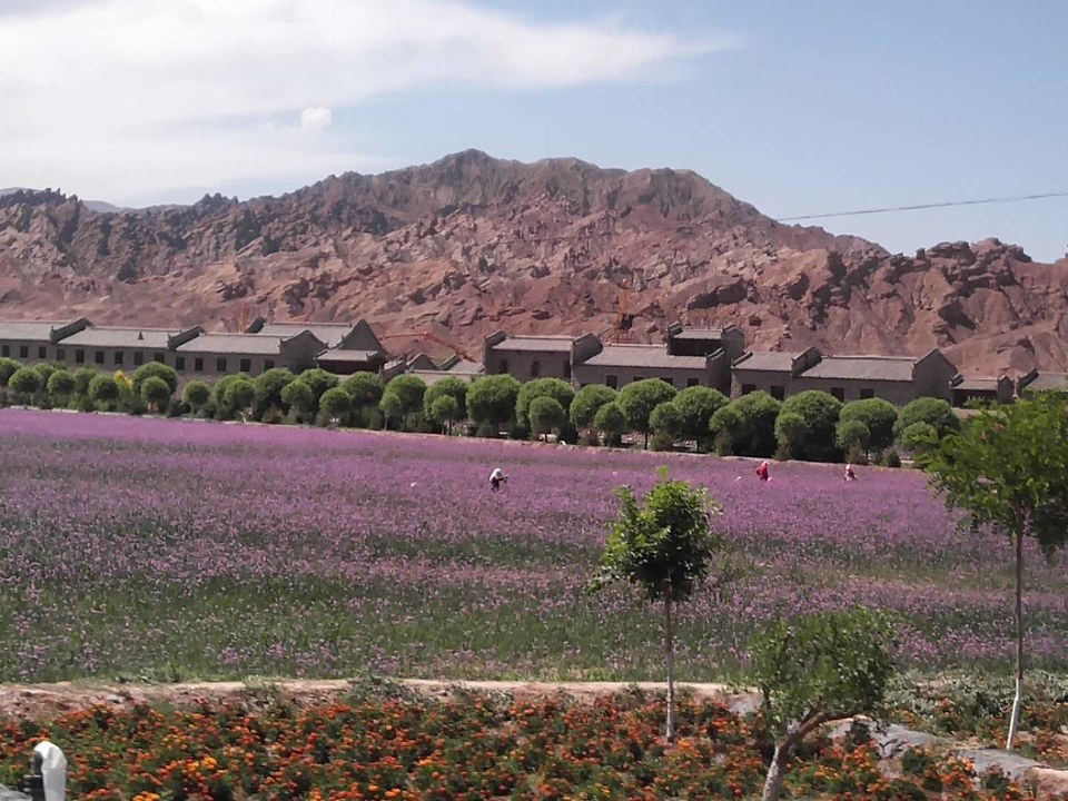 odks2MJnxE2On0n8d-4CD3pn5fwW2zL4fUNKF-tvg0tspm0M8v_ML03Lulxwds9y