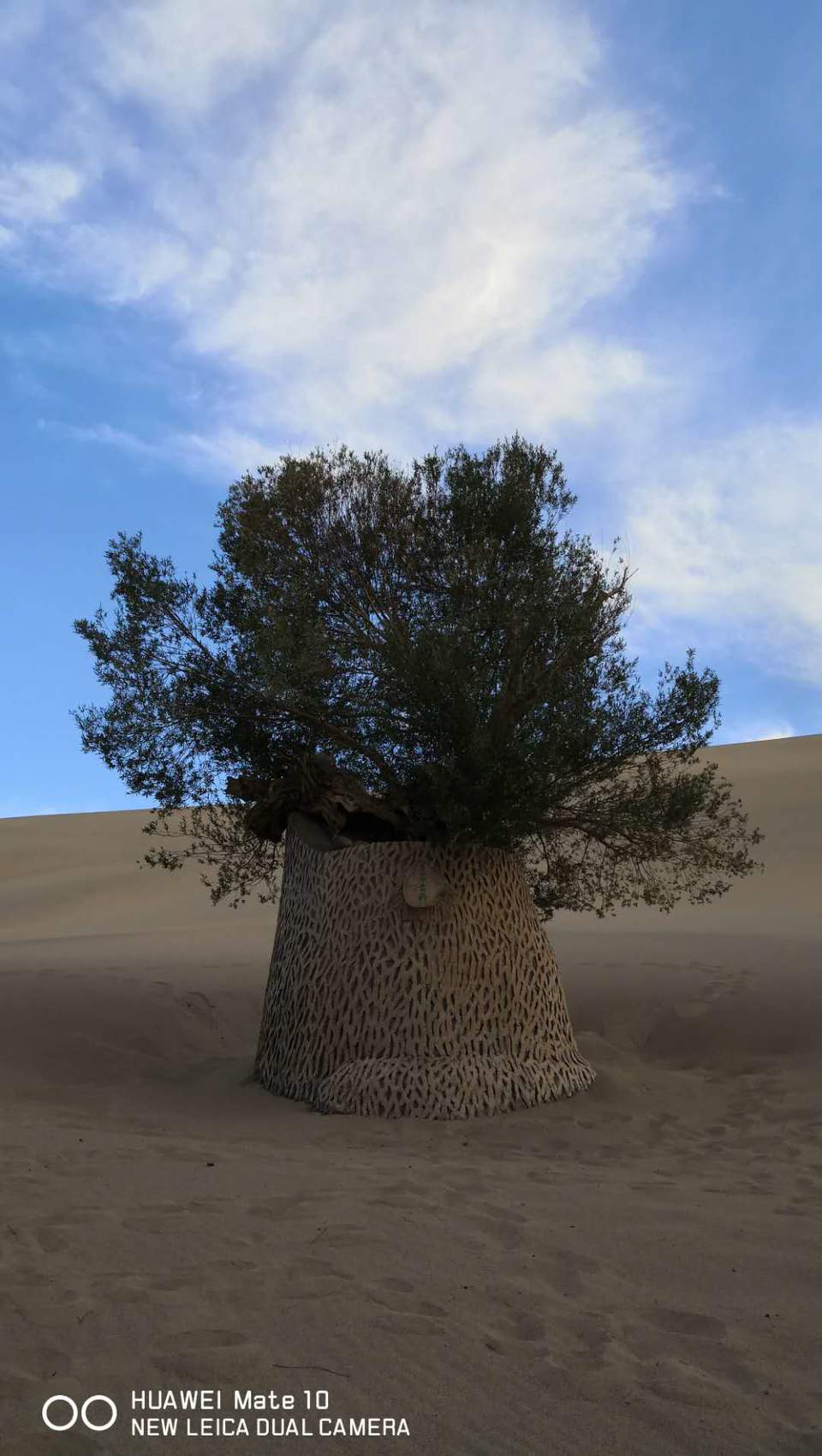 yZLXw_Fy1sTgL_yPpEIEW6dSk0jmrvVQDWbVAcnl1RrPuo2CTEyUi_JbSPhl0nx8