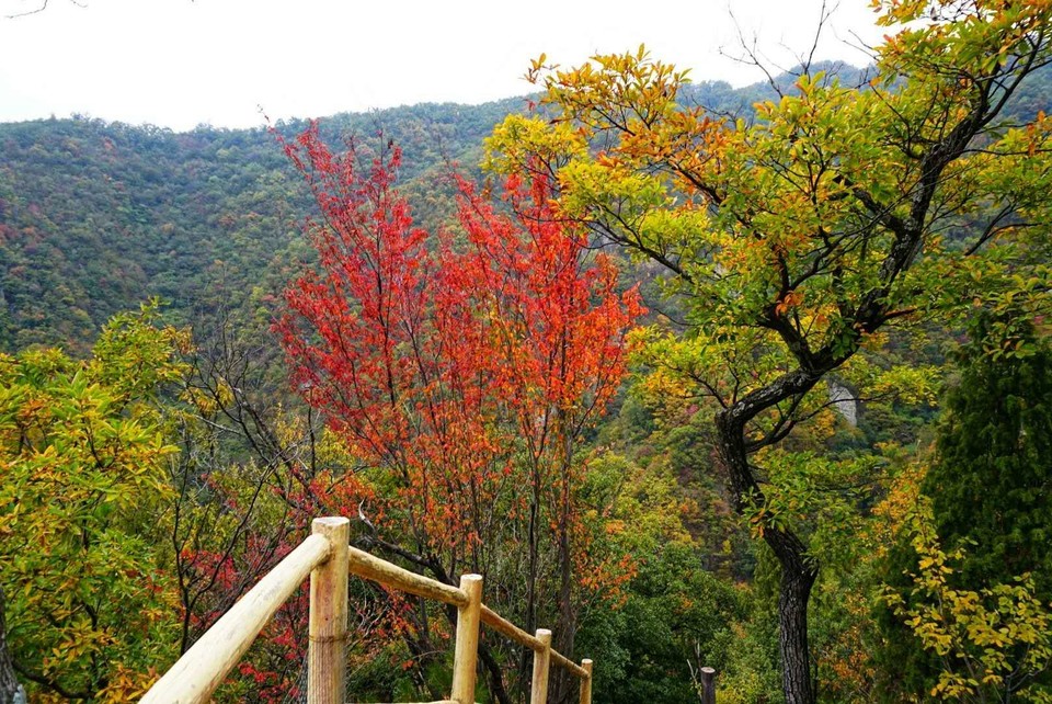 xnQWm1MIUoWmEmHkA2j8ylJ-raP8ugEv0n7yNR_jZ75bNIaY90DBJo3QAwFq_AVD