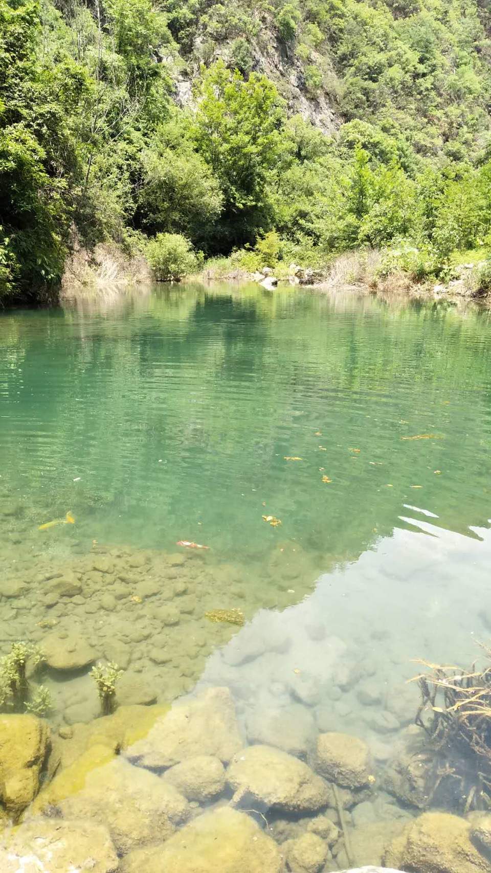 -VbJbXkC5yDSGrln0RYYTZtQ1otAsBz-gQSKoLaNFdz-uKm36GOhcnBoY778QCxy