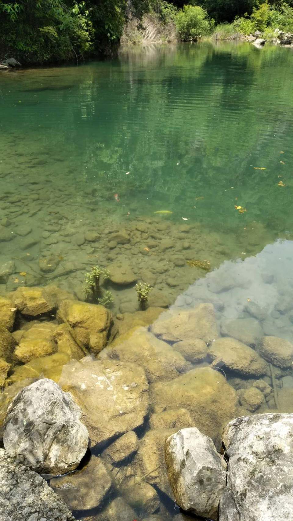 LAvZiDMotCtSySV-UL2xM_MZ0vQ5KNrYS8gTon_cliFsFnHuWtrzPdTeM8BhAB9Z