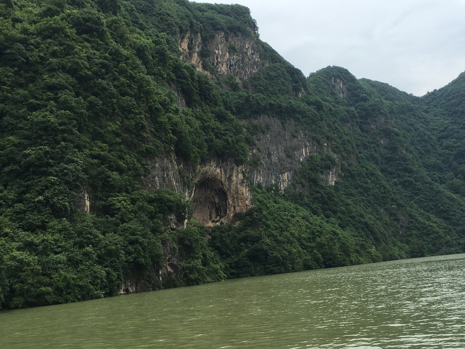 81A1A539-D321-43E9-A3AE-4395B735BC3E