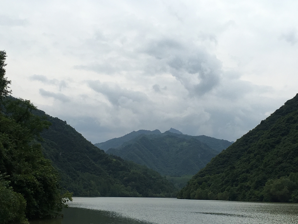 440F50AB-0A86-4F1E-8869-9C916547CA45