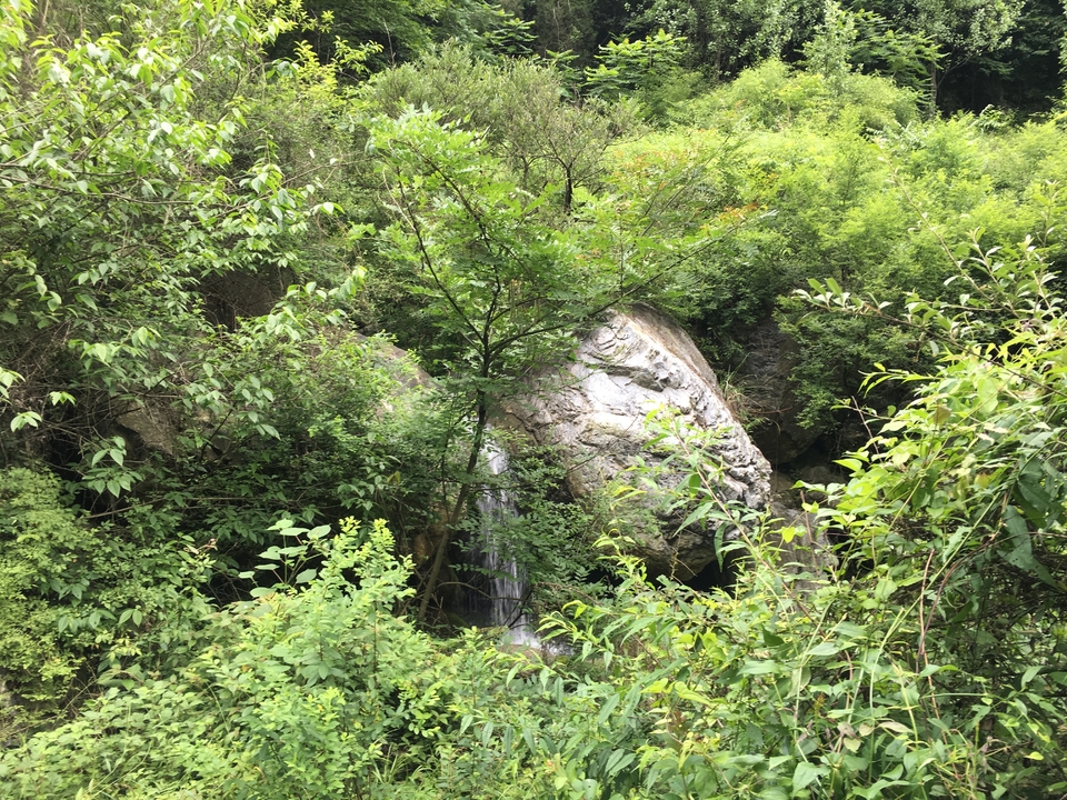 5C822637-F517-4E43-96C5-8EF7FD03E855