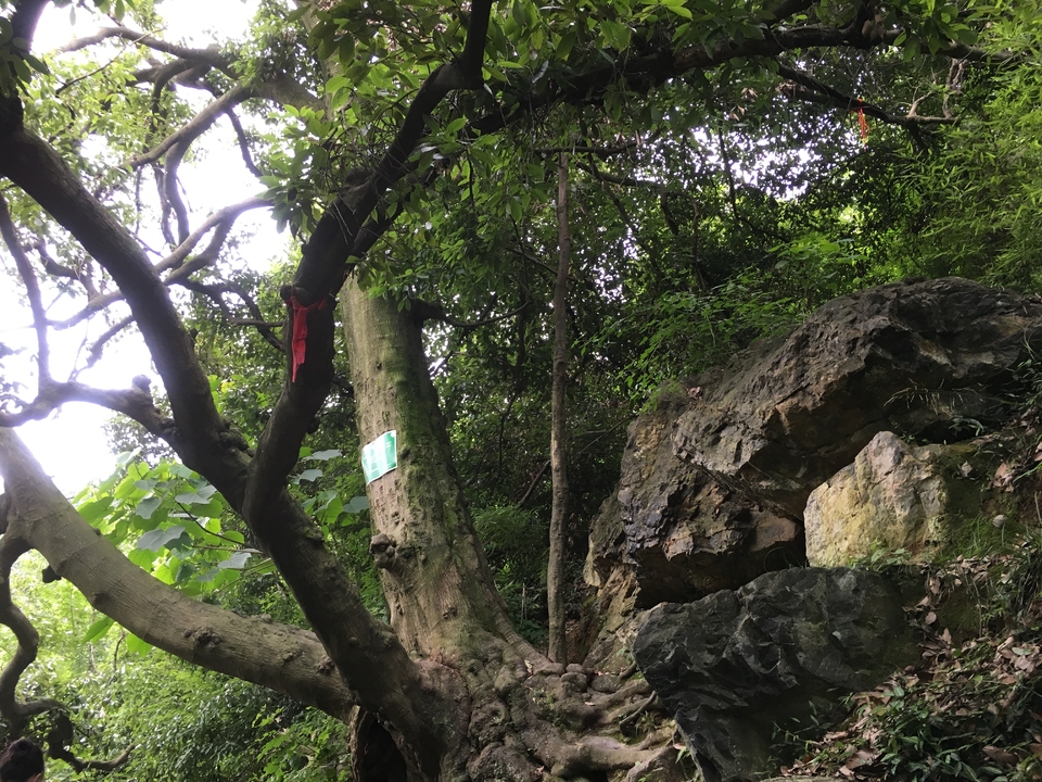 B2689101-3BC2-4FB8-A82C-2F74617C68B3