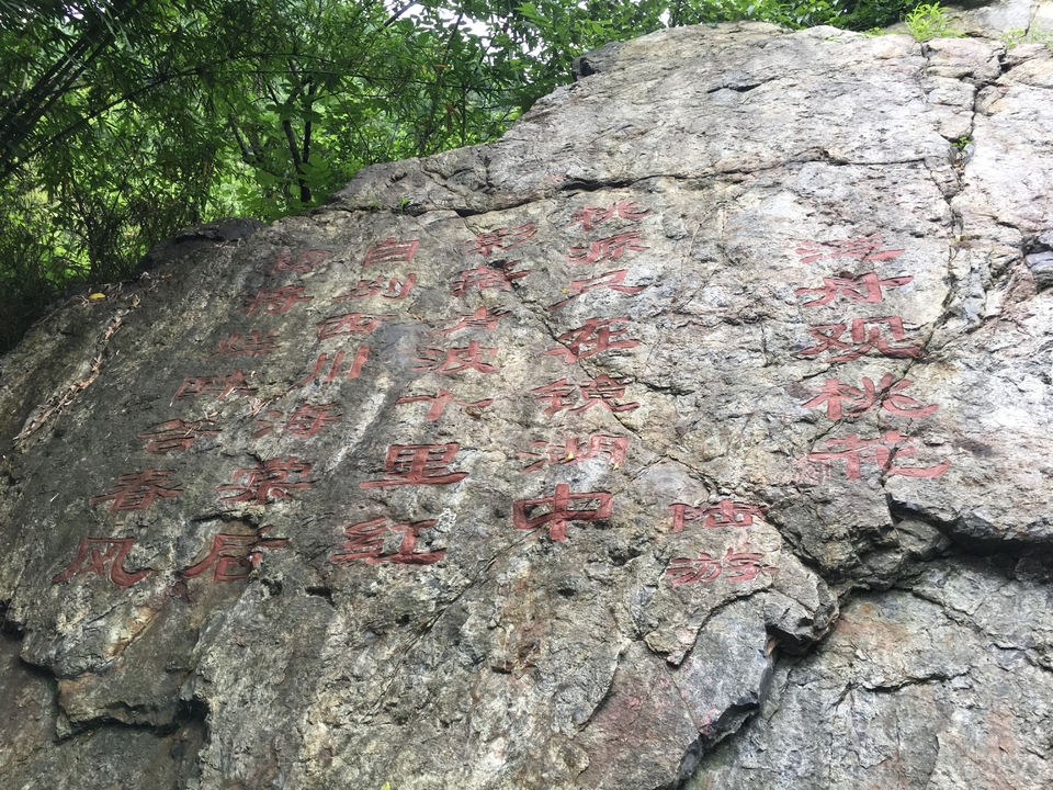 E69EF1BB-B294-448F-A8D2-EAD2D1C1AB88