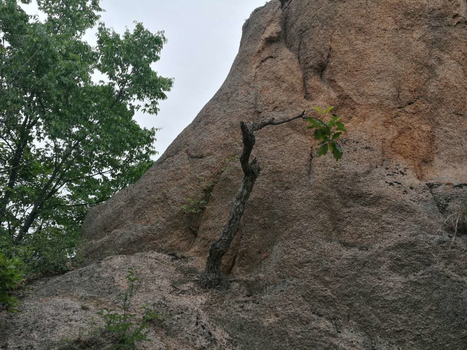 CUPPqhQWMrWXhF195vjTh0t74i792AOGyDy4n2f8AxWC1hZo5rl6GrRE9Dsob-y1