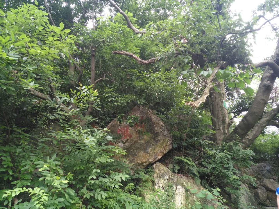 nsggG9jl6d5vNqh7dwG13yZRcRhETQSgZDyFN2e9umppuKTp5Yv5XePSLsI7c75j