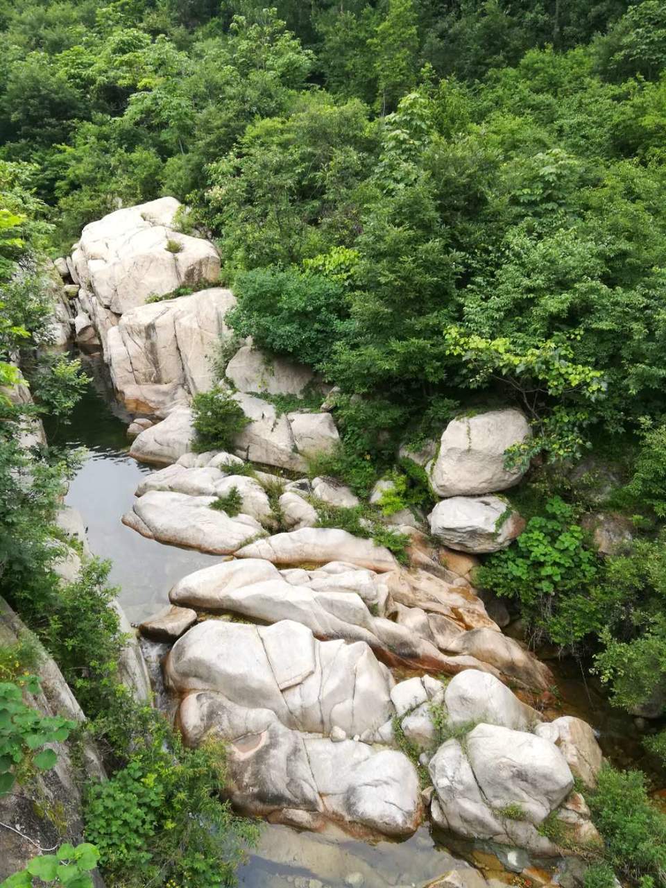 SPq7MkcrAP7GSFWbZlxy2DN1DJsztiB2lzQGKnF64YPk5Y8UwxKESOGRoVBPpGWN