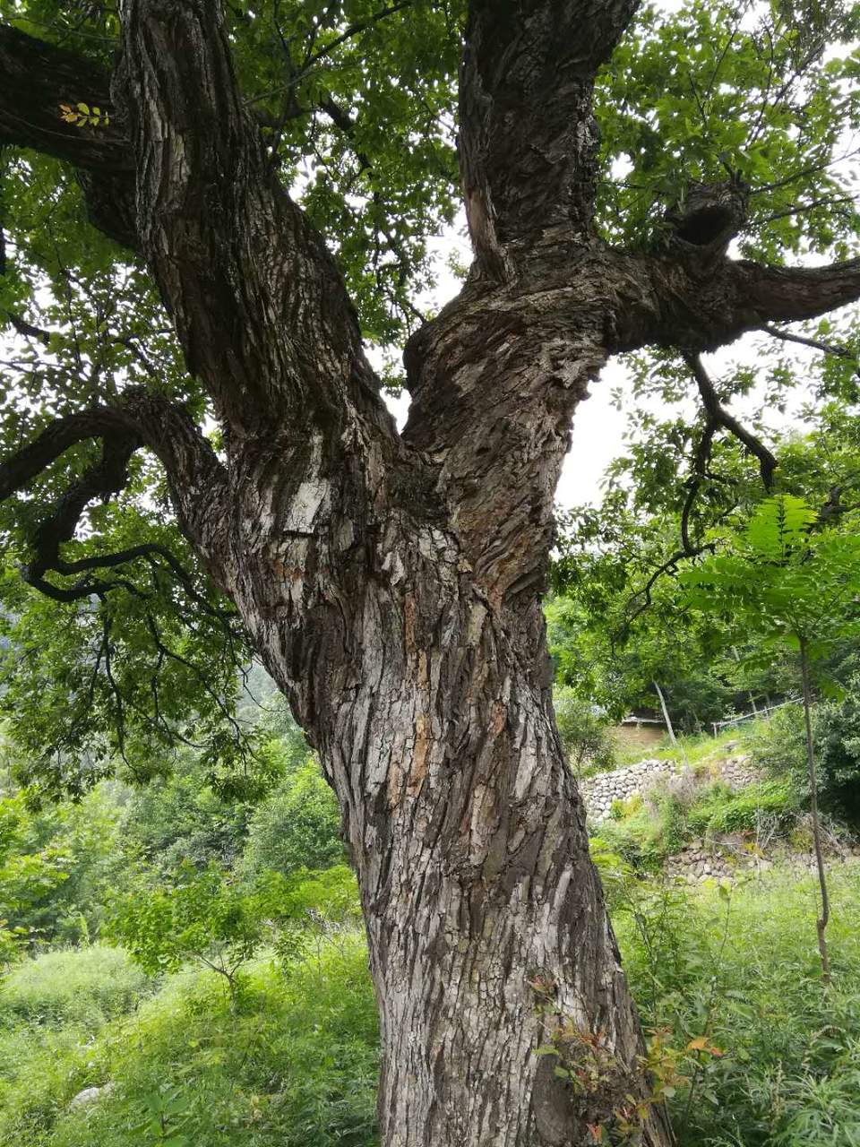 BDNuOz8gd_e6AupVqTeFDsTSnF-AIMcmLvDXWlOGSHje2UU61q4MJ29BfdOcuO-I