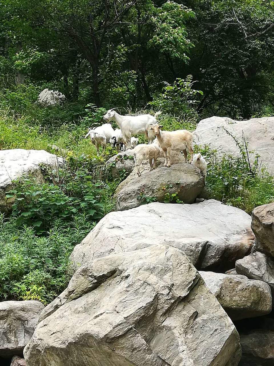 Kl0O3nPtmX02_LWlaxMU0DB2ruR82QDNz0rgvhp2GHrHlsSd2xp6H0FTs3RPhYWg