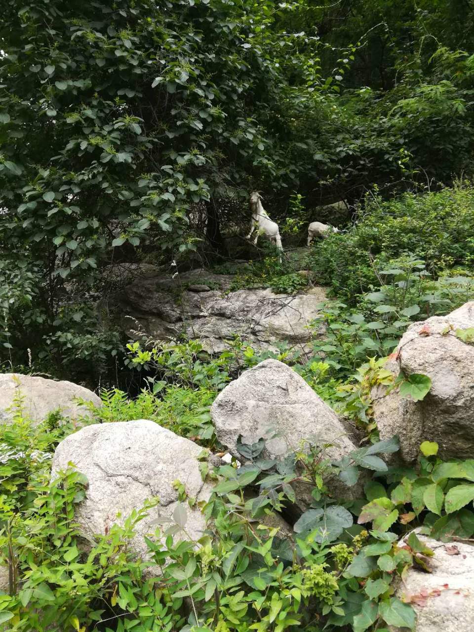 7I4hNazMJZ5Ex6M4kZrNDrpCx00Mgjj_bT_0paJhhrrAyUcM1XZHENOfzRrYDpbk