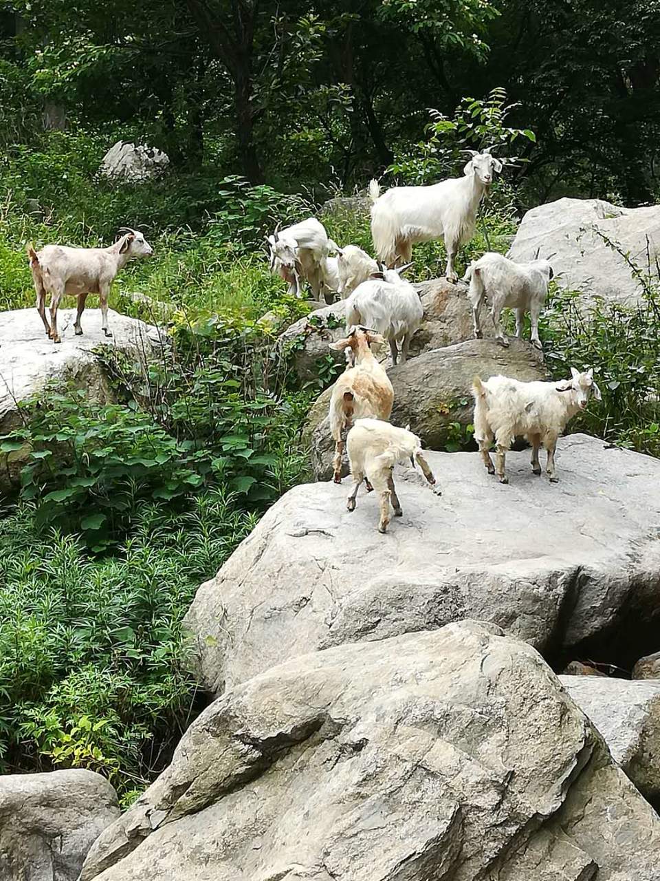 yeIucT5iBCFNm67uI6Qvs5twlbnrDfOJ0q5s2UsVhXww2GOBFBNXvwgYLPeGsb5f