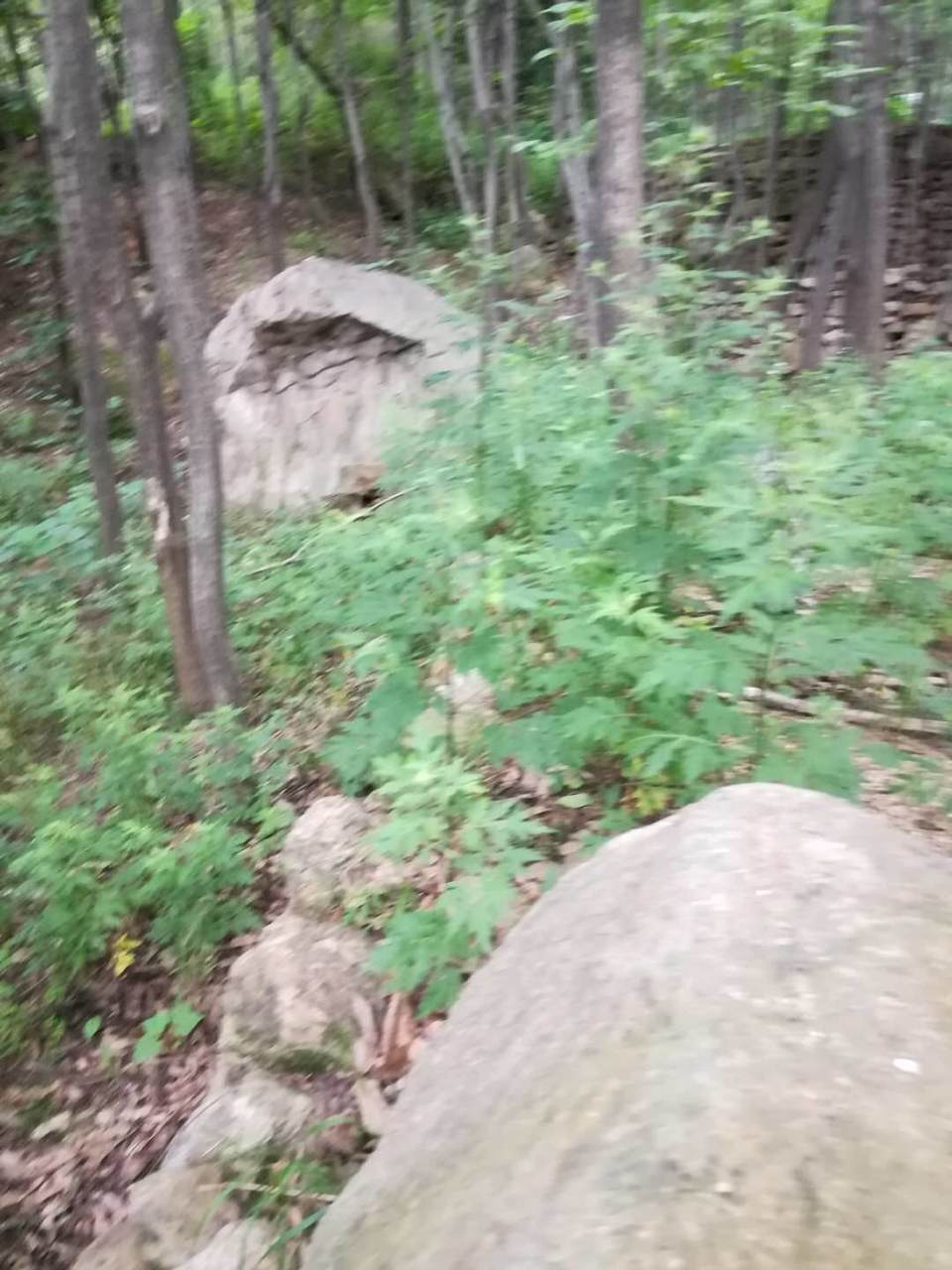 RjPgbT1GWGH8I8ifhR8znixa8yL5wWHa4qW5gWWTrghGGUuM0qZn-pPkckHCnZLr