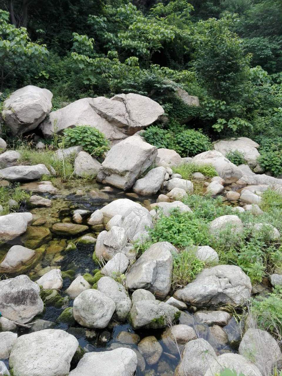 0SZCl7D7xTGPIzXZ7zGO8IKX6JPEfWLfpe6-Vz_q0EYHgptwA0MGd6xaw6osZNRe