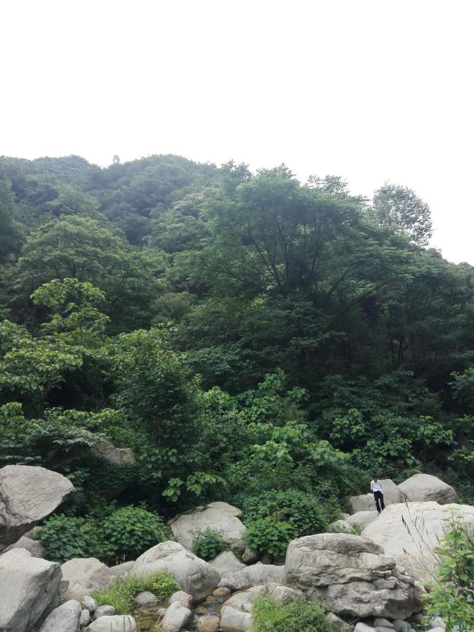 ulojKzlRWBxPJYE4t2BklNLLcwSJU_6F4zhDUGRu4axhl0zHamGz_1vwZqtLpI-Y