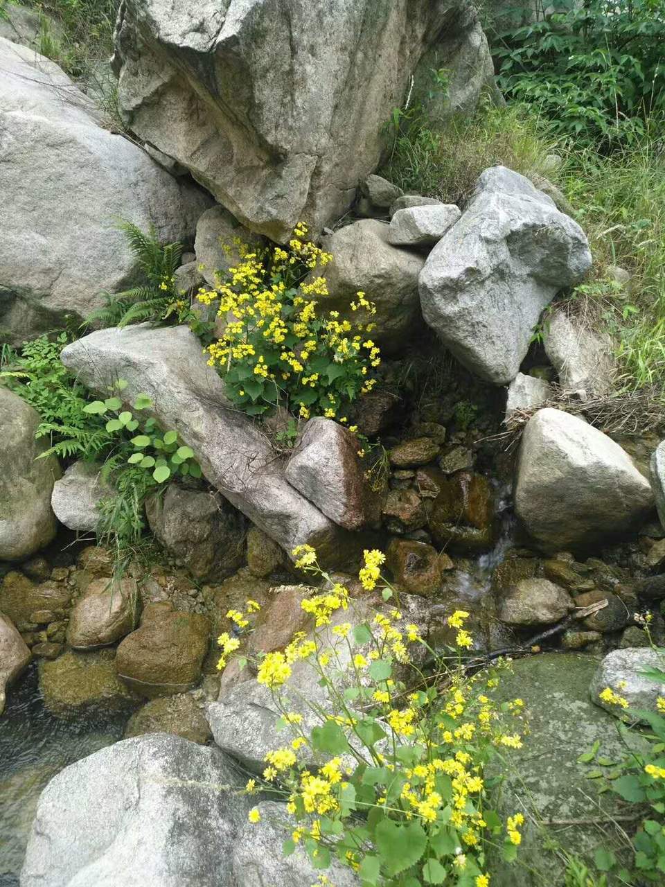 GiYSK-Q8sAbGLAyAiu43OVxrxdRCMcY0RoiWYoOmiI0VAZo4mkKc0mRutEw3uCP2