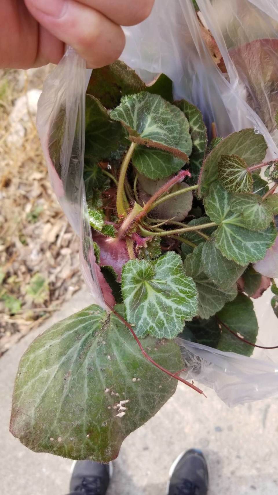 zME0DuHy4Wii076XG0d1N7KwCW3AJRqo2MItOL37RXgki4prw_uSGon1TQ4DkmNA