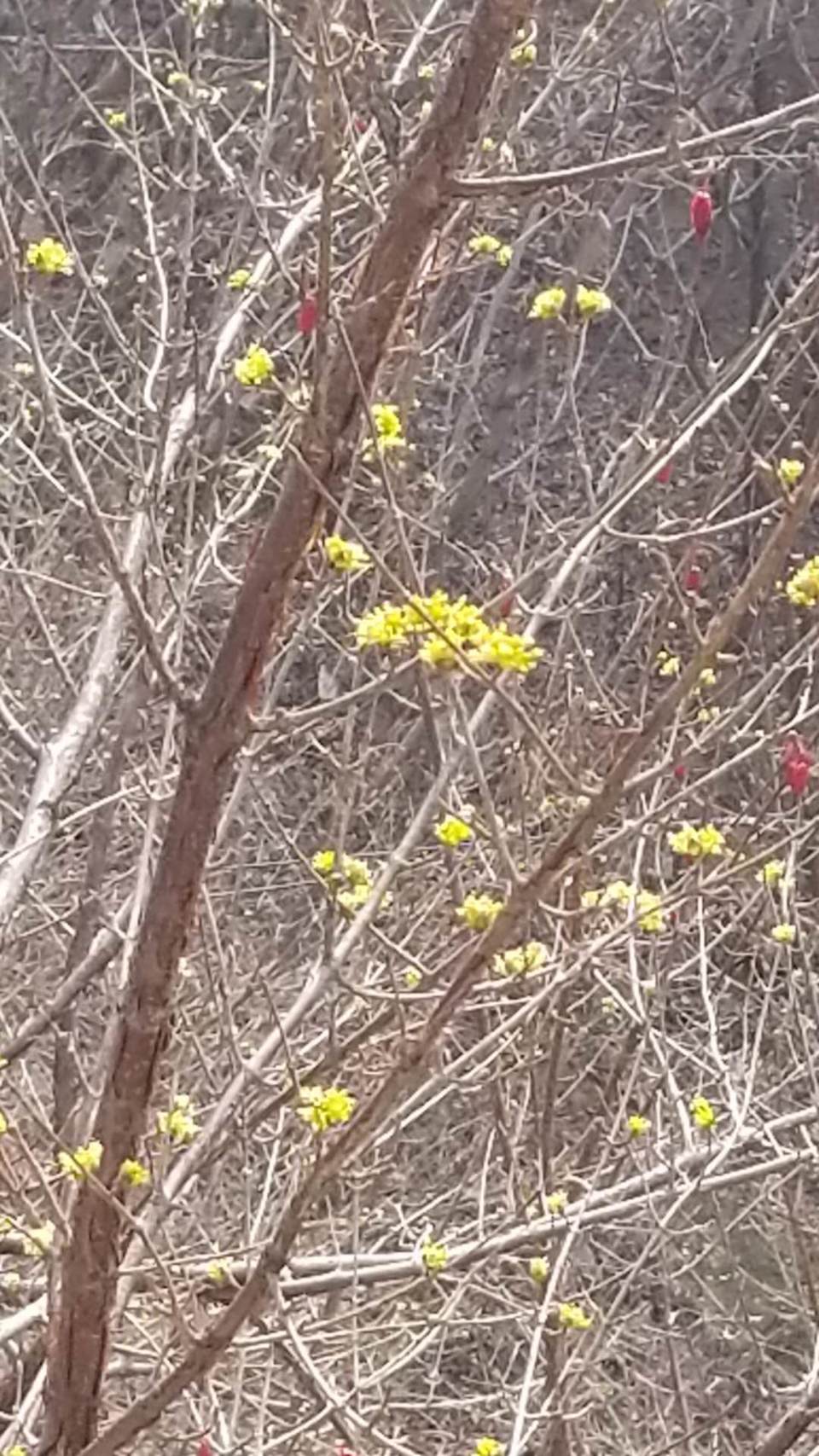 AH2LBu14TiZbhuqsMayXowkQ3PsjfX8VaMAnCC7embTvwy2x943VhGGv8uJqtEp0