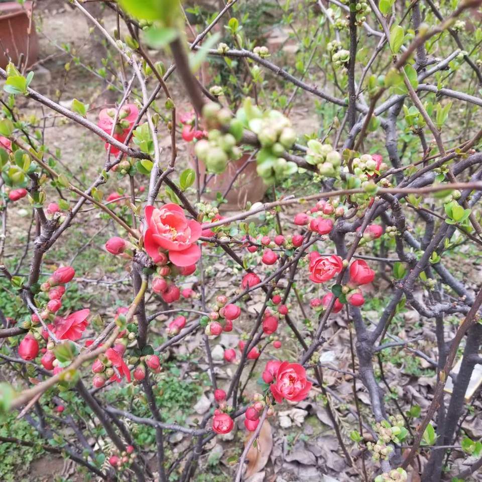 vkWE9MF3_D1VzdsRpEOqlGD077C6UUSzrKsZmCe6kF3bgrOSPMzBuIbv-qGF5rgg