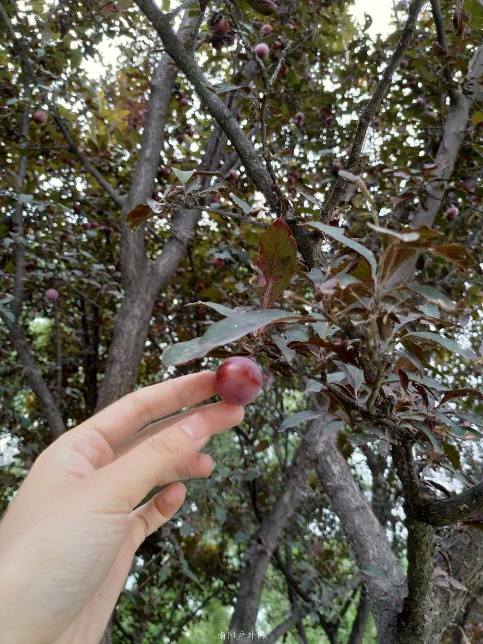 JiY-KWBW1eK-YOiauVYLViPjAoHcekm-FjNZAzATQdYa_KDn8M5c8gjv5MXQvDtZ