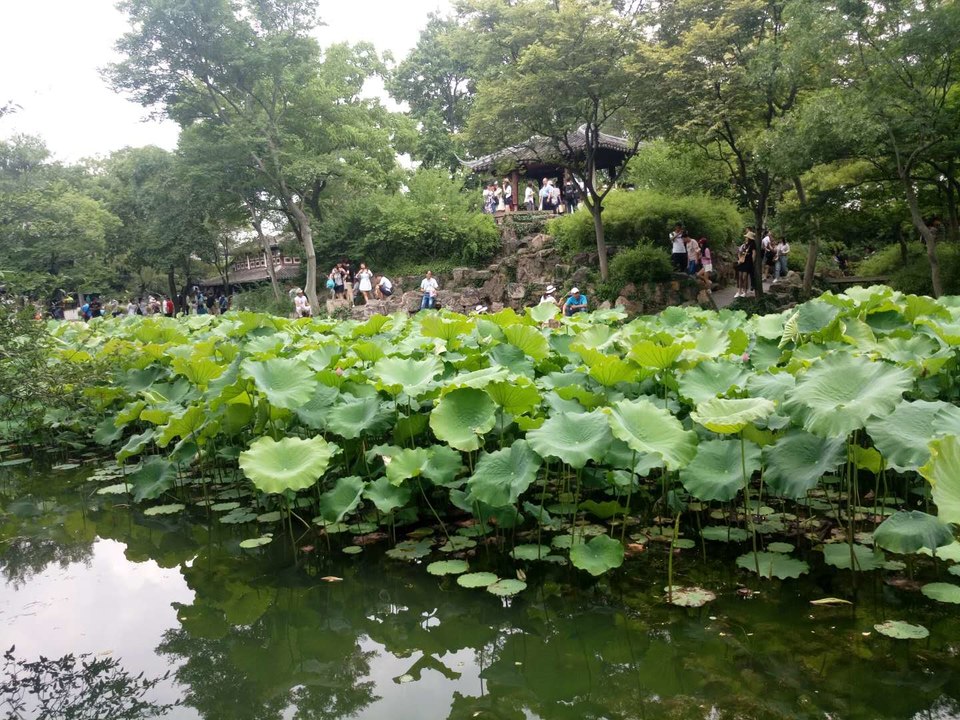 rY8DBCBt4SfY8dUecDNl6GwAN52IZnY5ujB9BeSlJphT9K7iZPcBu6JIrY3-a-u_