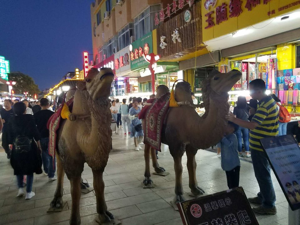 mGu9fdSBS-5wcpzhEeUx1nVhINunPeJLhR-66bvPah2zvmYJ7rAqQkz9jiUlEbMB