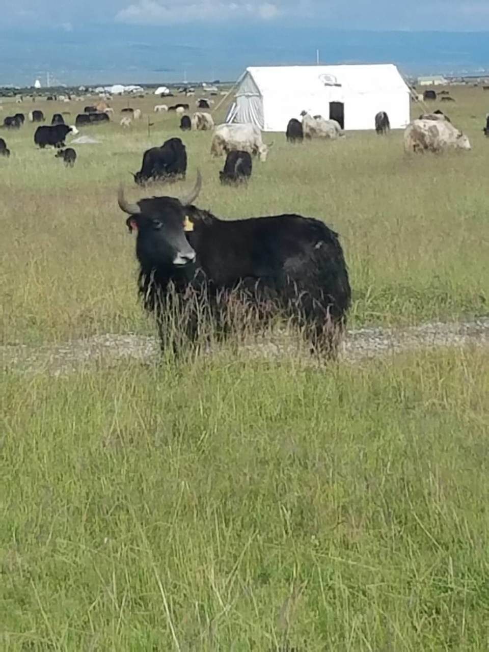 oRMVZmXeCuC3jQkrlwuRe74WKex3BlOJGY69CeOe53omRlEaFbmgzZ0NH_MUBSFb