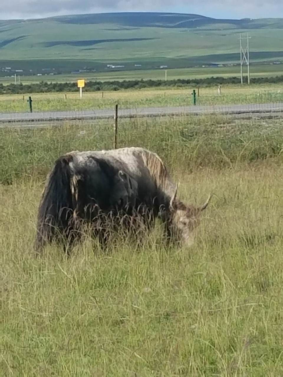 g-eeIvL5WLvsZr-riBCIiSPsQdfaX-XLNQpTRS4RxHW6p9rEEqijMpKwNkR0GFG2