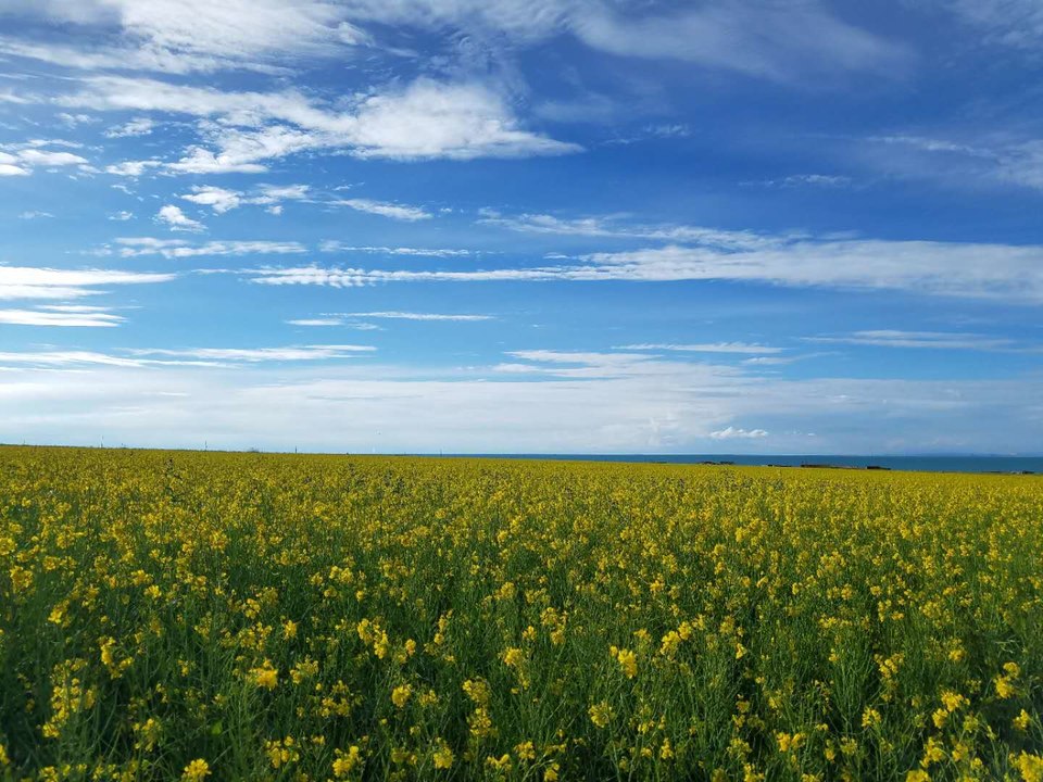 ZEPmqFOtEl9g68AgFA6HLJpwNlHLAPZzJMLc9wmrKKKknYIdsUPEadnHwahok-uq