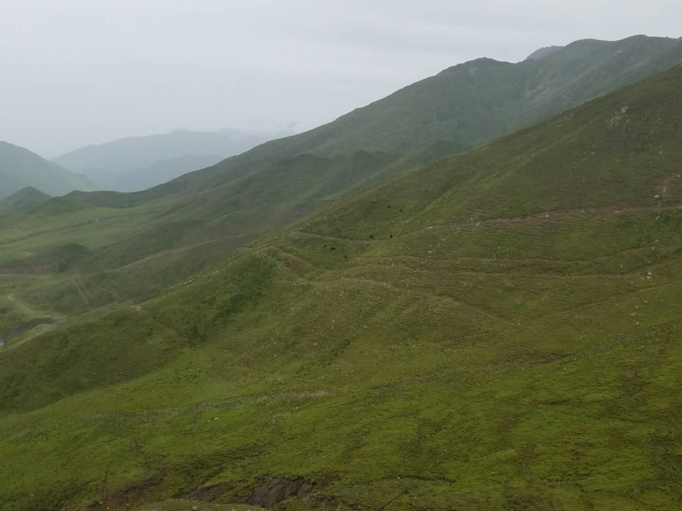 pAsl9gFLjsEeMh2j7SlMdaPw4WlycTEysSEE3MH7HcrrIEiRFWdmZAhugMvQC36z