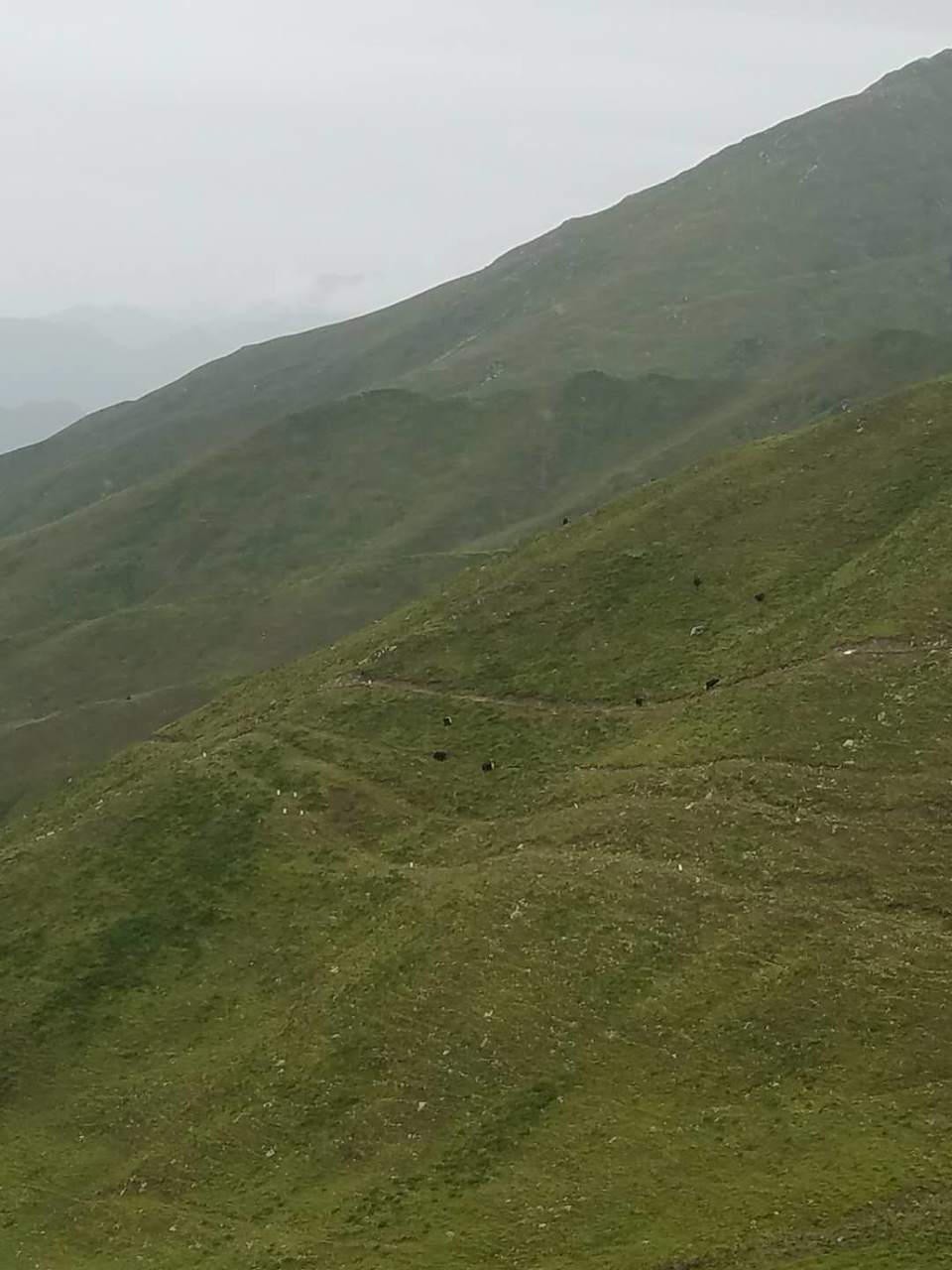 pnKUHndj6O5rfsR3wrX0DCiQsNyDqCx4iTPfIUIvRAHZhsx45RMD3oEB6fnsUjan